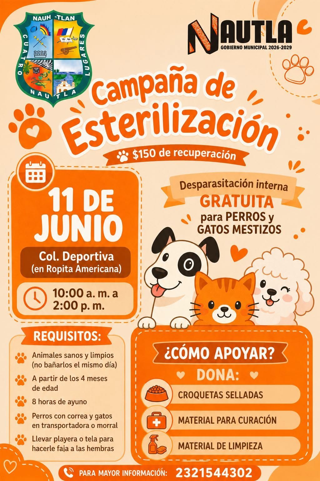 Publicación